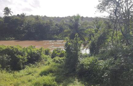 Sítio das Imbiribas Natureza em Igarassu - Foto 13