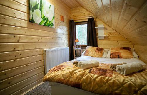 Domek całoroczny SÓWKA na Kaszubach z banią i sauną na wyłączność, wspólny basen i bilard z domkiem Jeleniówka - Ostrowite Leśna Dolina - Foto 27