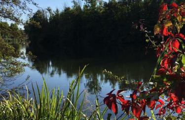 La petite maison de Marie - Foto 33