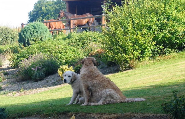 Roulotte et Gîte chambres d'hôtes - Foto 30
