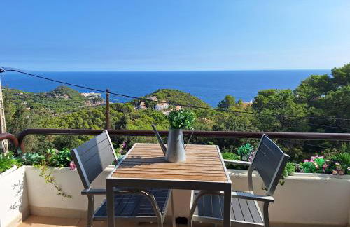 Apt CON VISTAS ALAS ISLAS MEDAS - Foto 1