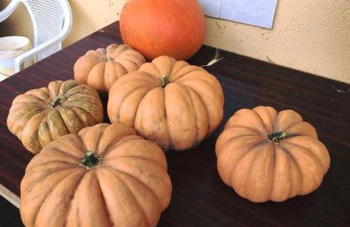 Agriturismo Villa Orchidea - Foto 29