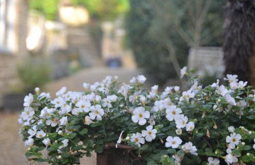 Church Cottage Barn - Photo 20