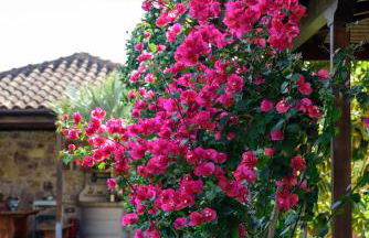 Kiveri Garden Villa - Foto 8