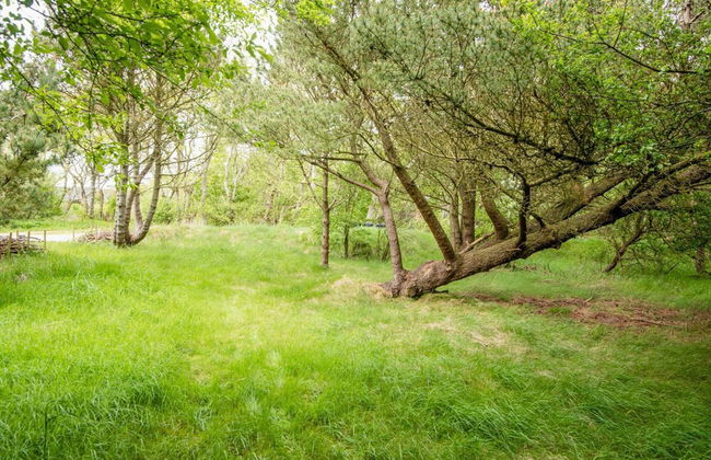 Secluded Retreat by Limfjorden - By Traum Ferienwohnungen - Foto 34