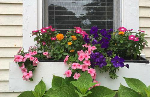 Less Than 1 Mi to Beach! Kennebunk Cottage with Yard - Photo 31