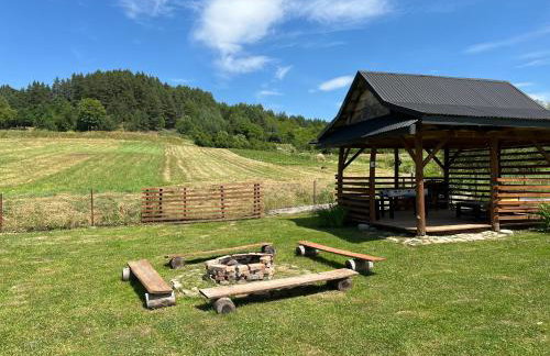 Domek u Gołąbków Bieszczady - Foto 36