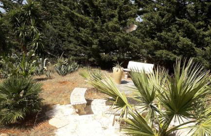 Sole di Sicilia - Foto 10