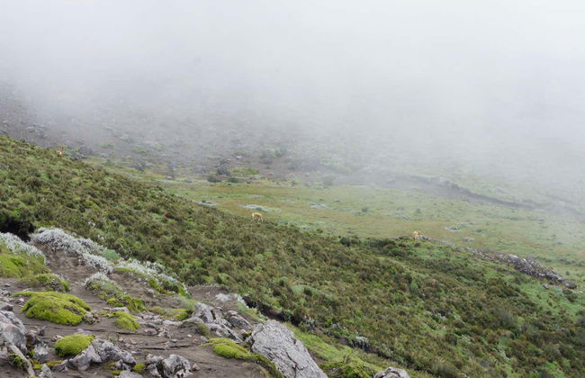 Chimborazo Volcano 2-Day Hike - Foto 7