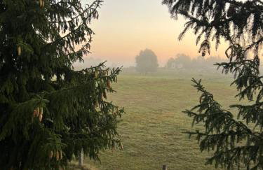 Ukoya Mazury - Foto 9