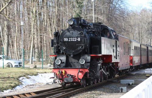 Baltic Green Haven - Foto 16