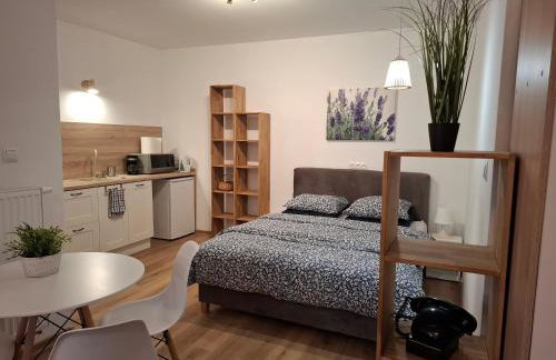 Apartamenty Kudowski Potok - Foto 4