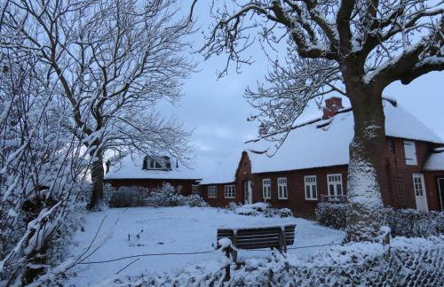 Große Warf mit Rasenfläche - Foto 15