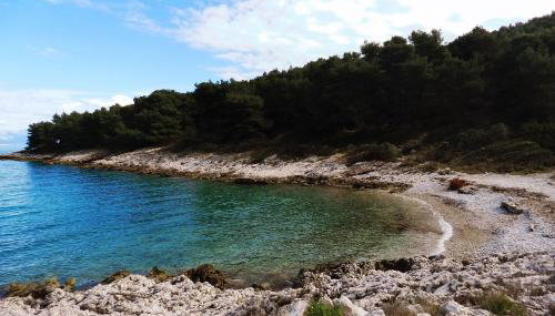 Apartments by the sea Cove Donja Kruscica - Donja Krusica, Solta - 15636 - Photo 2