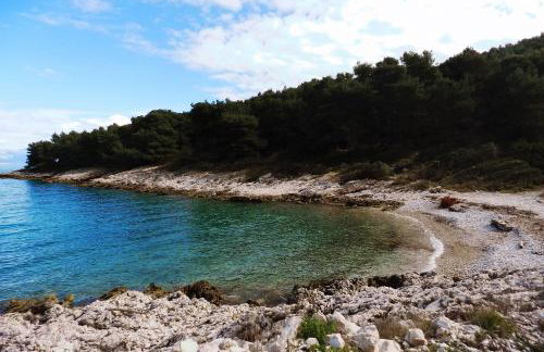 Apartments by the sea Cove Donja Kruscica - Donja Krusica, Solta - 15636 - Photo 2