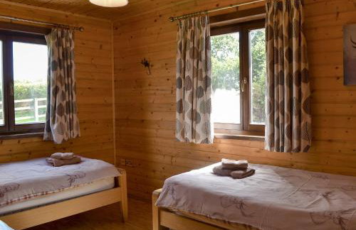 Dartmoor - Uk12537 - Foto 10