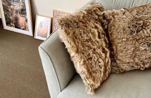 Tannenduft Freudenstadt - Foto 16