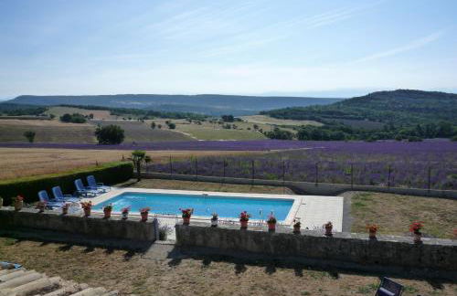 La Ferme l'Etang - Foto 5