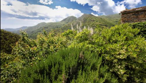 Casa Costa - Ruhe und Natur pur - Photo 5