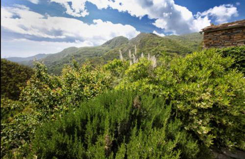 Casa Costa - Ruhe und Natur pur - Foto 5