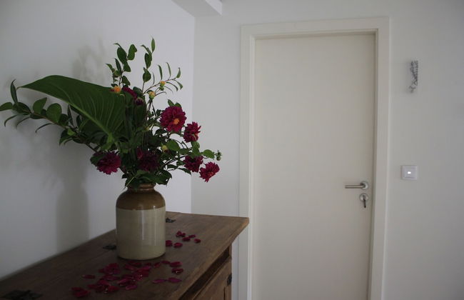 Casa da Cisaltina - Foto 61