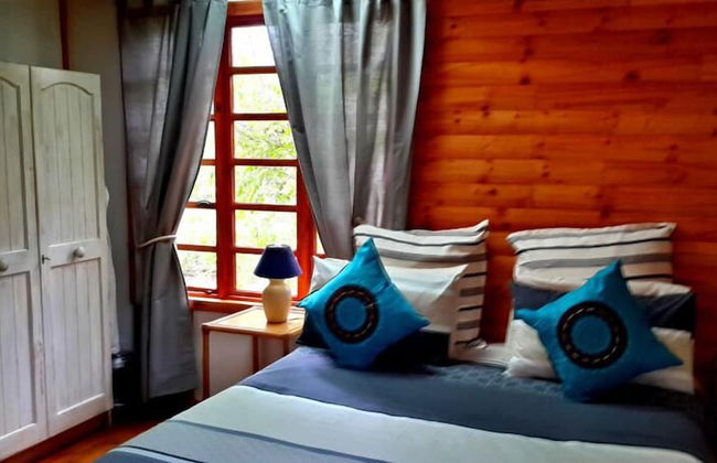 Woodland Gardens - Photo 20