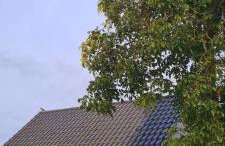 Ferienhaus Karola - Foto 42