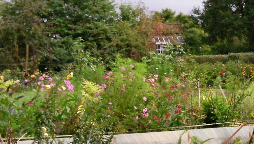 Riggers Hof - Foto 3, Garden