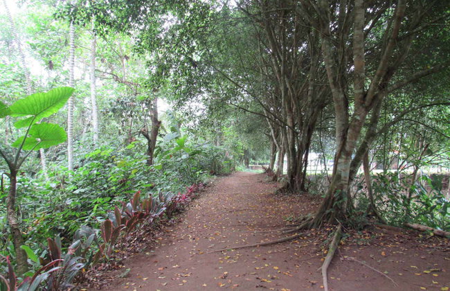 Santo Domingo de Los Tsachilas Day Trip - Photo 6