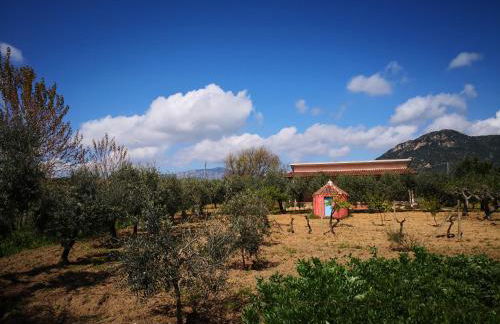 Villa Walter - Foto 28