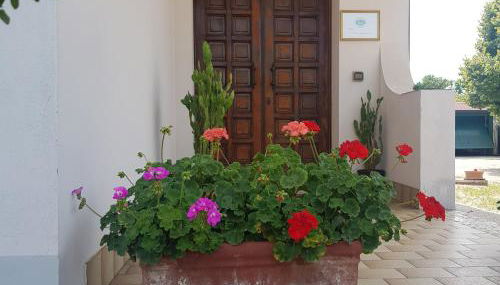 B & B Cedro Argentato - Foto 4