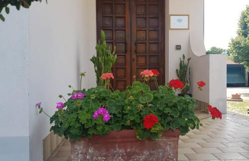 B & B Cedro Argentato - Foto 4