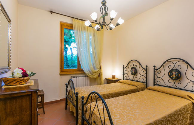 Rosa+Margherita+Lavanda+Ginestra+Gelsomi - Foto 27