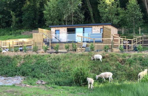 Rhossili Bay Secret - Cabin - Landimore - Foto 26