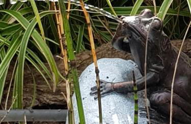 Ferienwohnung Wolf - Foto 29