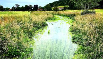 Pretty 2 Bedroom Cottage in Skirmett with Parking - Foto 4