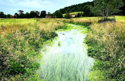 Pretty 2 Bedroom Cottage in Skirmett with Parking - Foto 4