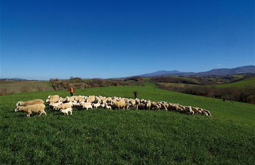 Agriturismo Le Calle - Foto 24