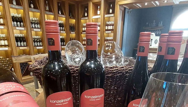 Niagara Falls Private Tour - Photo 5