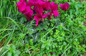 Greece - holidays & long stays - 2 Vilas - Photo 27