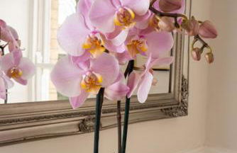 Brookdale House - Foto 54