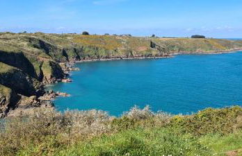 Les Gîtes du Goelo - Foto 70