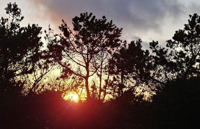 Surf Paradise in Klitmoller - By Traum Ferienwohnungen - Foto 5