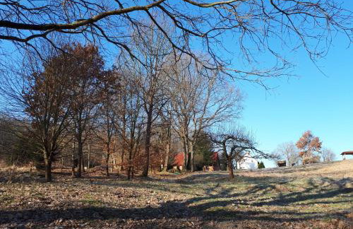 Łabądkowo - Foto 15