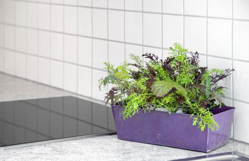 Ferienwohnung Haus Reiteralm - Foto 12