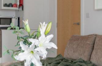 1 Bed Apartment - Redhill Central, Surrey, Gatwick #2 - Foto 22