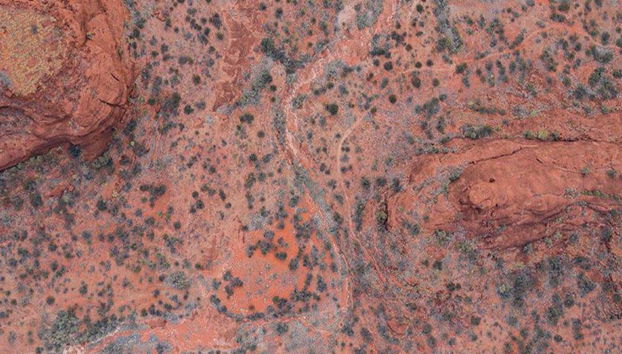 Palm Valley et Promenade en 4x4 - Excursion d'une Journée - Photo 2