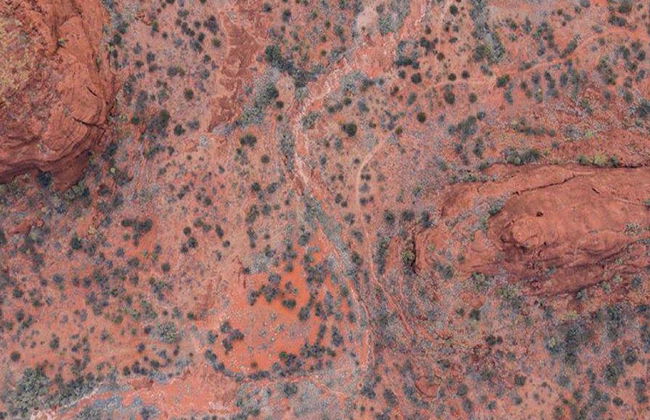 Palm Valley et Promenade en 4x4 - Excursion d'une Journée - Photo 2