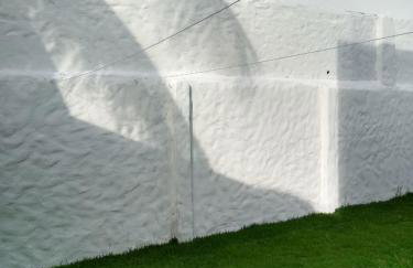 GREEN HOUSE - Foto 23