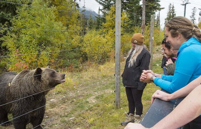 Excursión a un refugio de osos grizzly - Foto 3